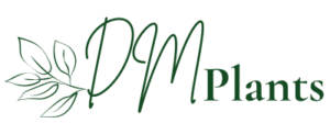 Онлайн магазин за стайни и градински растения | DM Plants