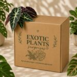 Mystery Box Exotic Plants / Кутия изненада с Екзотични Растения