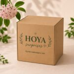 Mystery Box Hoya / Кутия изненада с Хоя