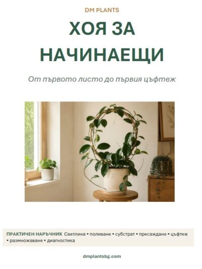 Хоя за начинаещи: От първото листо до първия цъфтеж - PDF наръчник