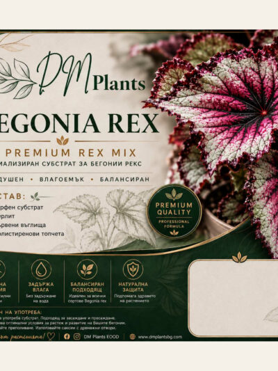 Premium Rex Mix – специализиран субстрат за бегонии рекс